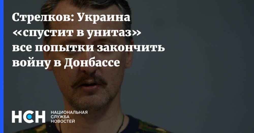 Стрелков: Украина «спустит в унитаз» все попытки закончить войну в Донбассе