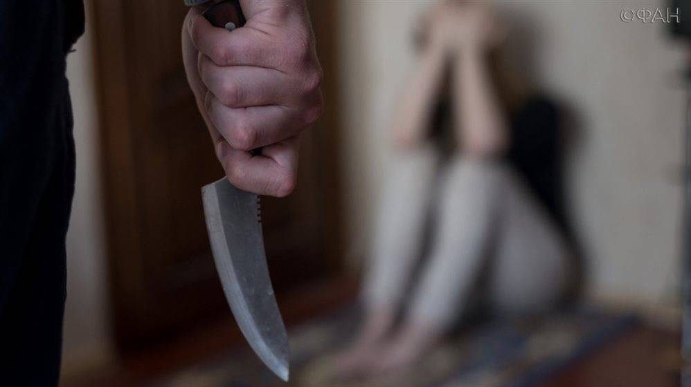 Ульяновец, изрезавший свою жену ножами, проведёт в колонии 7 лет