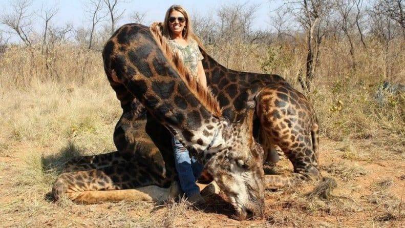 На вирусной фотографии американка позирует с мертвым жирафом. Охотница призналась, что позже съела животное