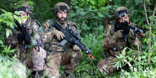 НАТО готовится к дискредитации военного учения «Щит Союза — 2019»