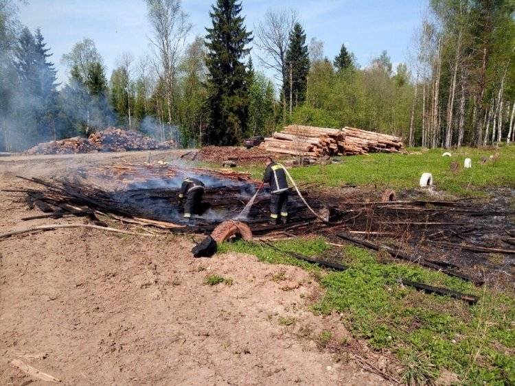 Обширное возгорание лесного массива началось на севере Амурской области