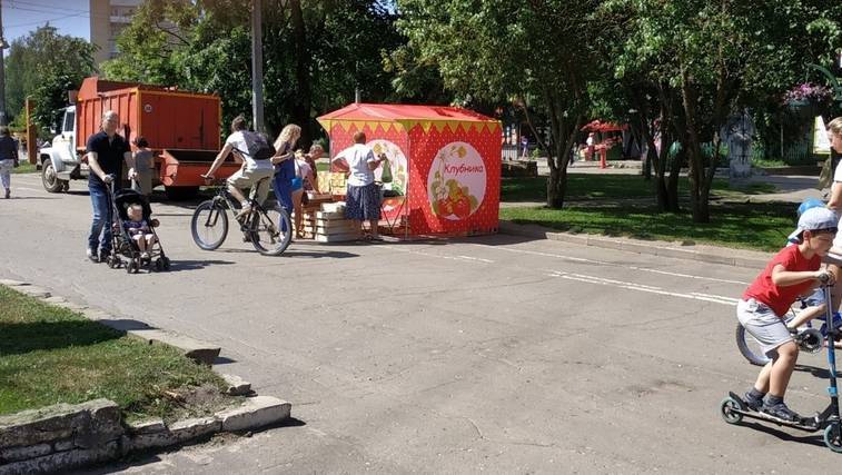 Продавцы клубники захватили велодорожку в центре города