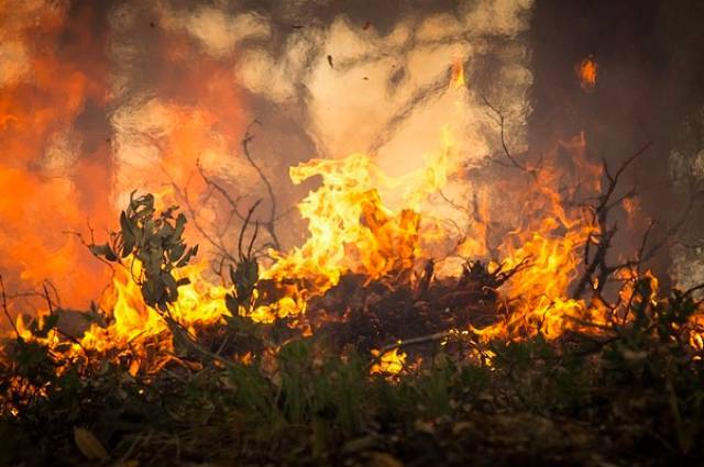Причиной пожара в Калифорнии мог стать осколок раскаленного металла