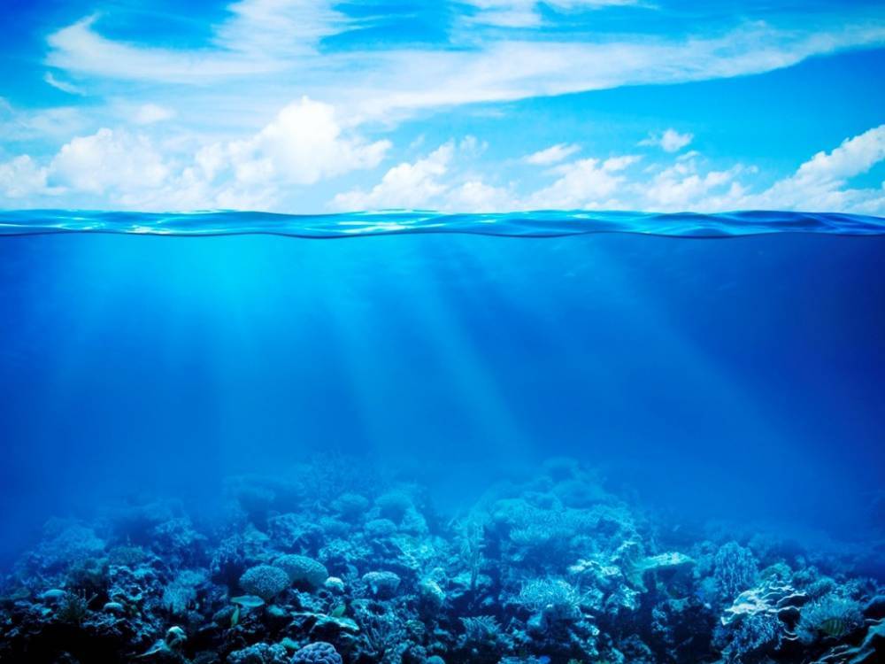 8 июня — Всемирный день океанов