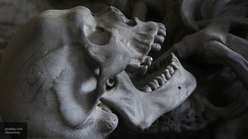 Два человеческих скелета обнаружены в фундаменте жилого дома в Татарстане