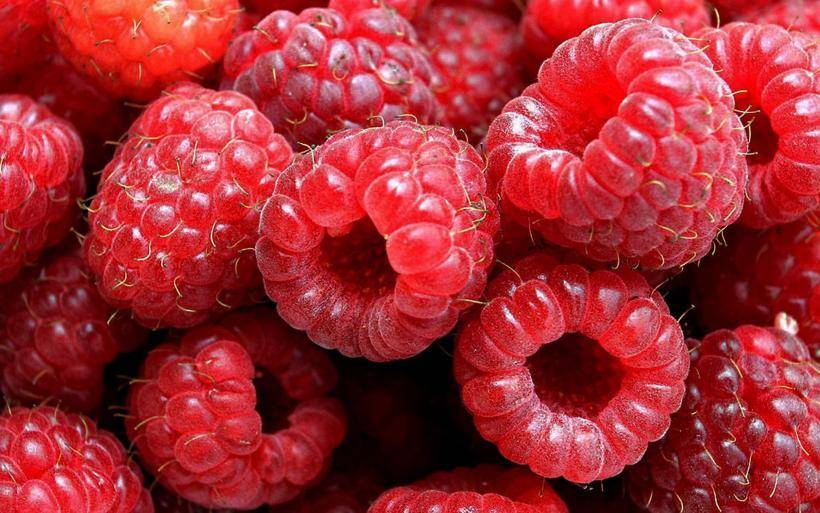 Ученые назвали ягоду, способную омолодить организм