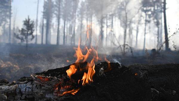 Лесной пожар на севере Приамурья будут тушить с помощью взрывов