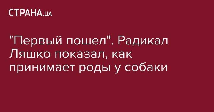 "Первый пошел". Радикал Ляшко показал, как принимает роды у собаки