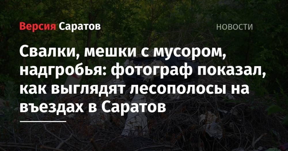 Свалки, мешки с мусором, надгробья: фотограф показал, как выглядят лесополосы на въездах в Саратов