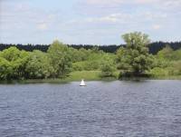 В Весьегонском районе в реке утонул молодой мужчина - tvernews.ru
