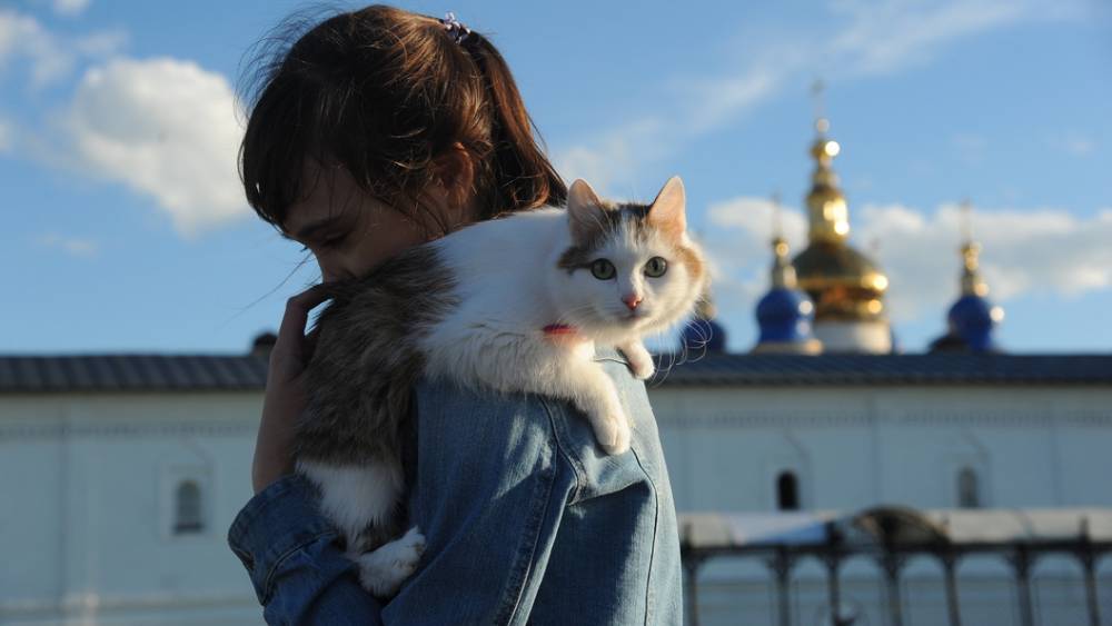 "Коты и собаки - киборги": В Новосибирске ветеринары вживляют домашним животным уникальные протезы