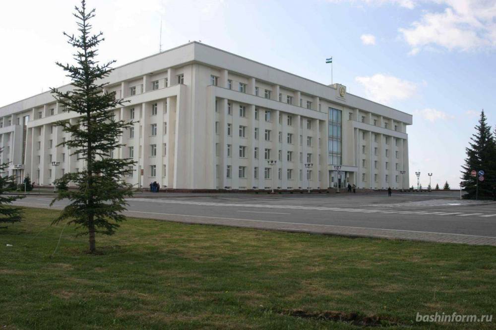 В Башкирии начинается прием заявок в Молодежное правительство