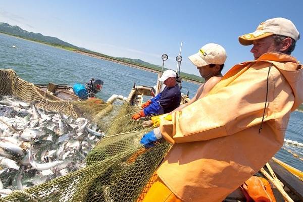 Рыбная отрасль в России: тенденции развития и проблемы