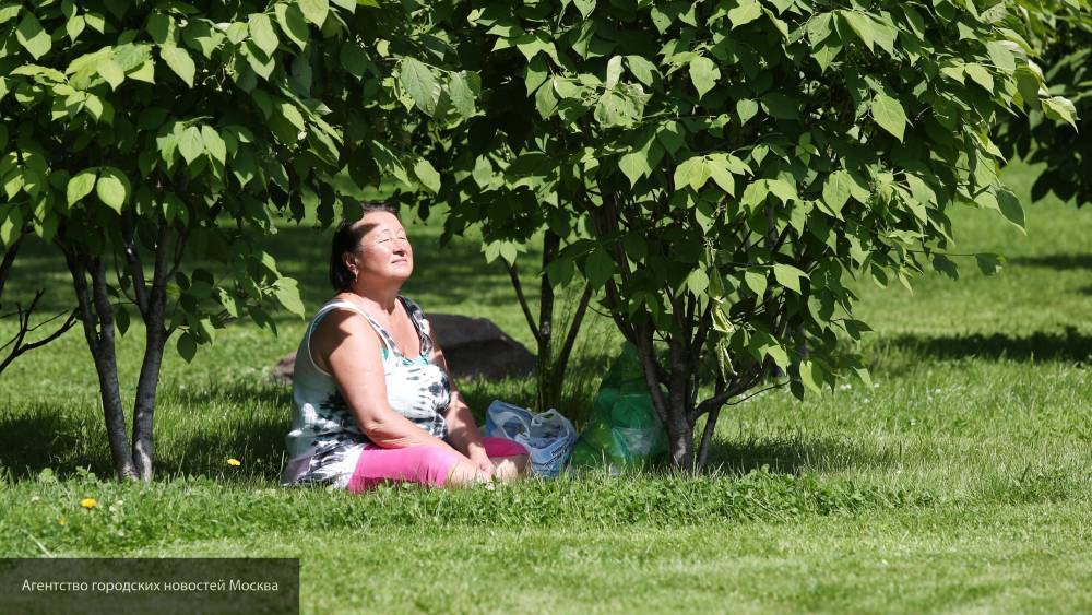 Жаркая погода с небольшим дождем и грозой ожидается в Москве 9 июня