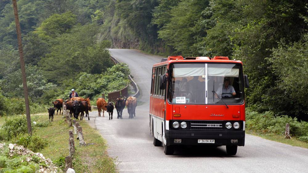 В Сочи столкнулись два автобуса с туристами – среди пострадавших один ребенок