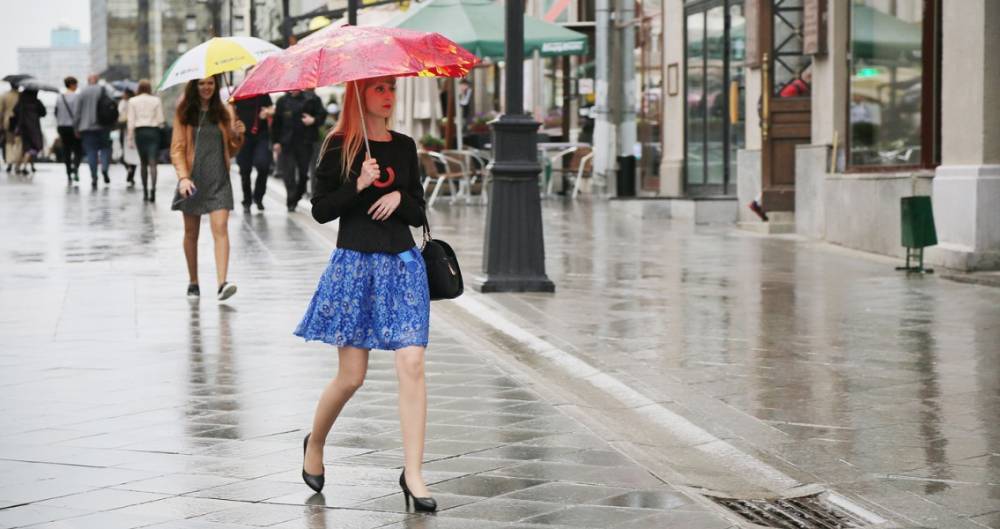 В Москве ожидается кратковременный дождь с грозой