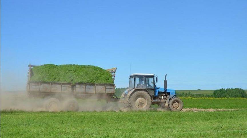 Аграрии Кировской области приступили к заготовке кормов