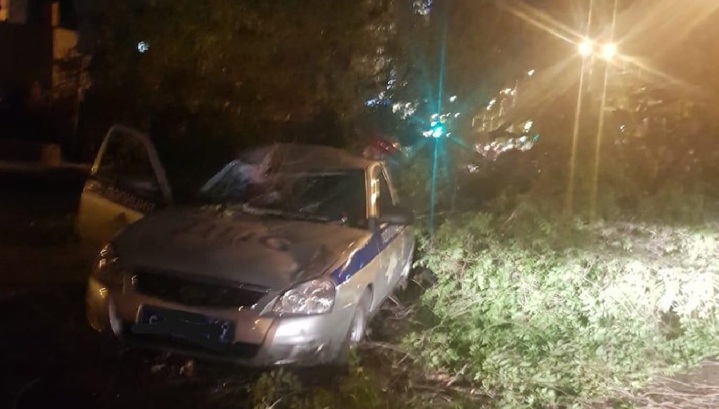 Момент падения дерева на полицейскую машину в Ростове попал на видео
