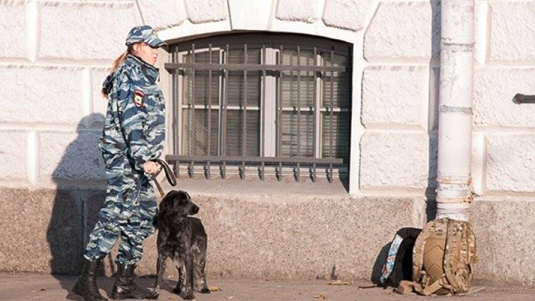 Полиция и кинологи в Москве проводят проверку по новым сообщениям об угрозе взрыва