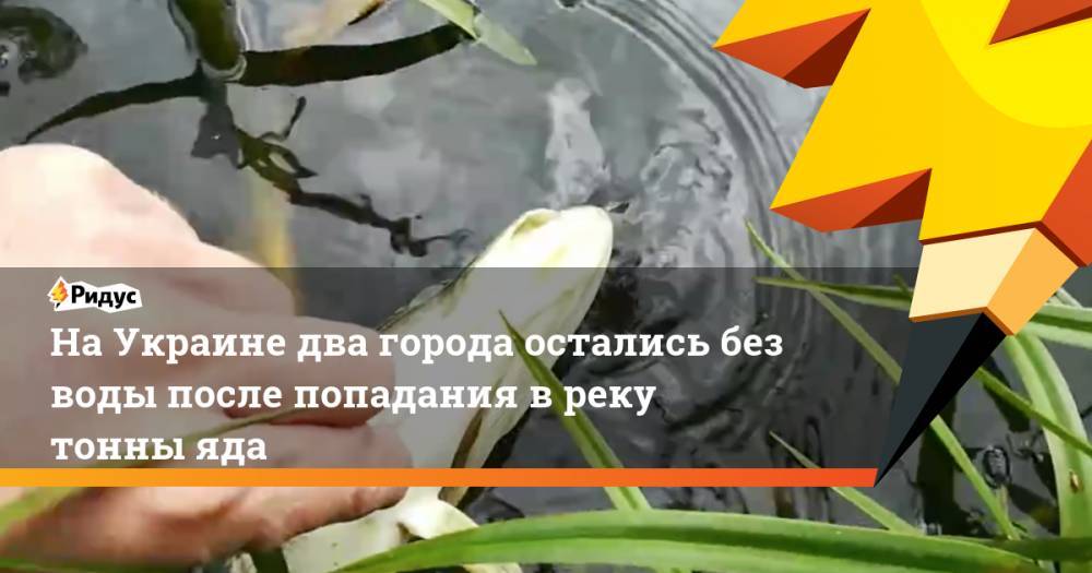 На Украине два города остались без воды после попадания в реку тонны яда