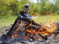 В Тверской области загорелся лес