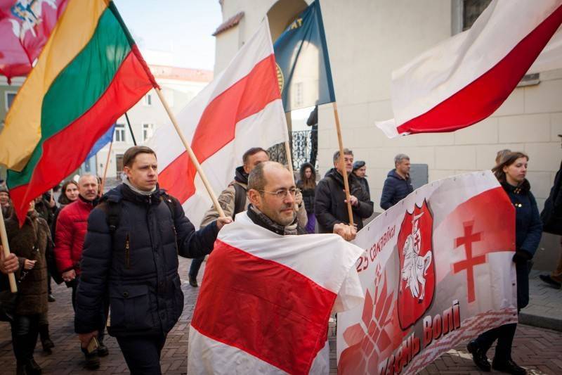 Литовский дипломат пообещал нести демократию в РФ и Белоруссию | Политнавигатор