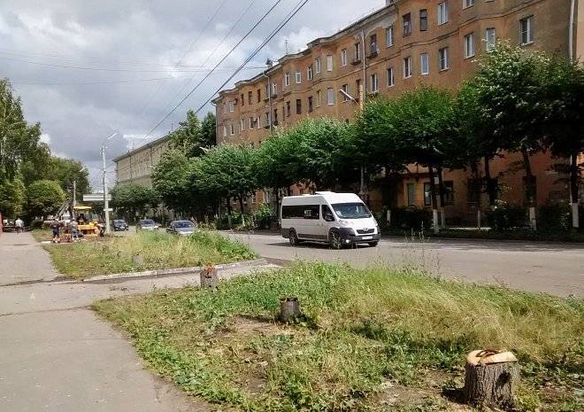 Соцсети: на улице Гагарина вырубили деревья для обустройства парковки
