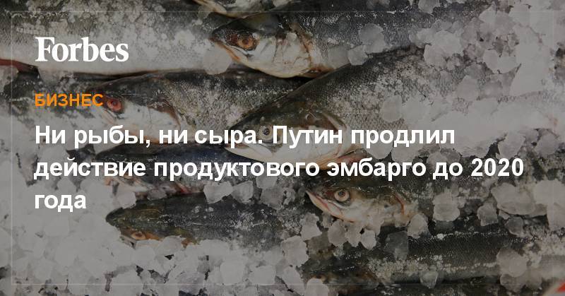 Ни рыбы, ни сыра. Путин продлил действие продуктового эмбарго до 2020 года
