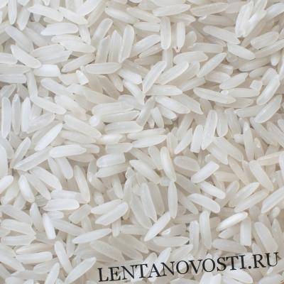 IGC снизил прогноз мирового производства риса до 503 млн. тонн