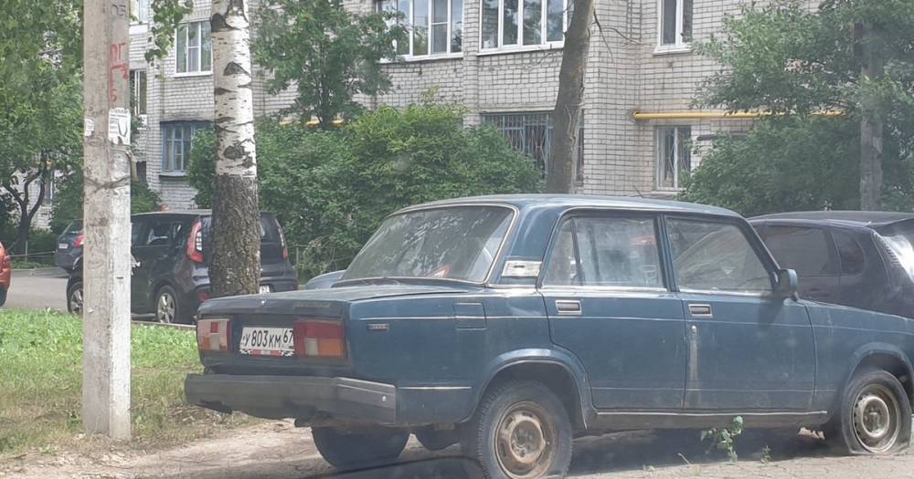 Горе-водитель из Смоленска уже год терроризирует соседей