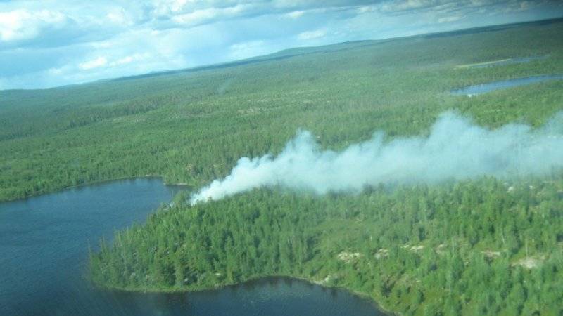 Более пяти тысяч гектаров леса в Иркутской области охвачены огнем