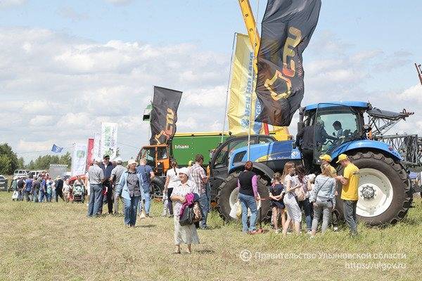 Порядка шести тысяч ульяновцев посетили «День поля-2019»
