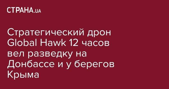 Стратегический дрон Global Hawk 13 часов вел разведку на Донбассе и у берегов Крыма