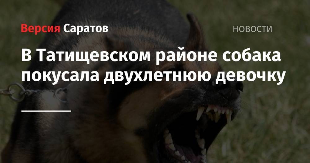 В Татищевском районе собака покусала двухлетнюю девочку
