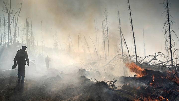 До 500 тысяч рублей вырос размер штрафа за нарушение правил пожарной безопасности в лесах