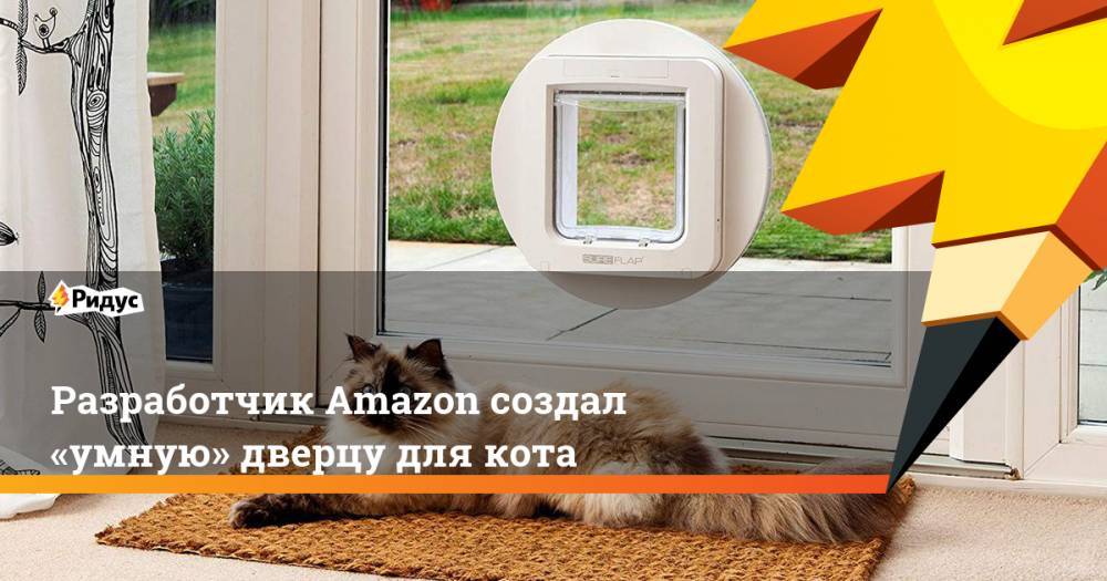 Разработчик Amazon создал «умную» дверцу для кота. Ридус