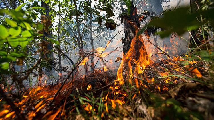 Под Бахчисараем сгорела иномарка, спасатели предотвратили лесной пожар