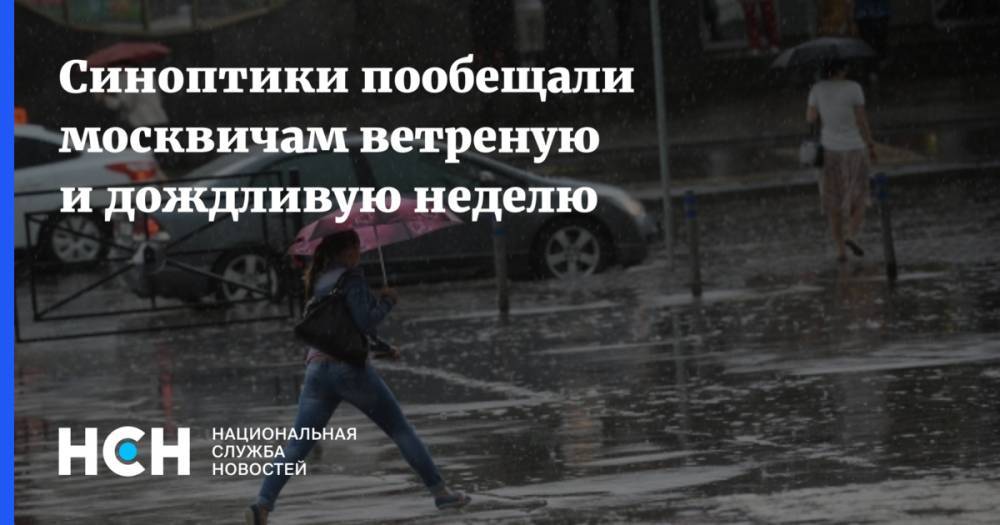 Синоптики пообещали москвичам ветреную и дождливую неделю