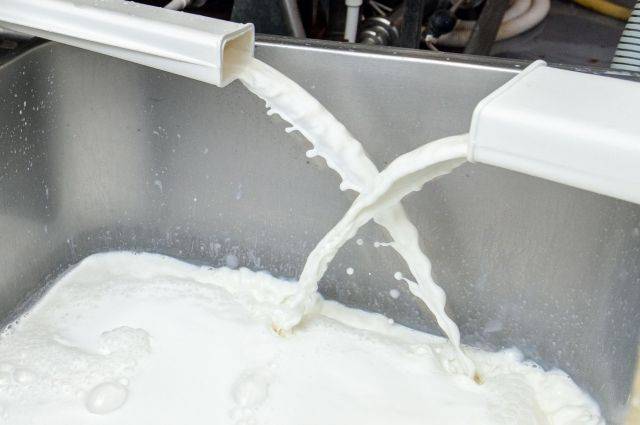 В РФ начинают действовать новые правила продажи молочных продуктов