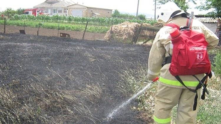 Пожар едва не уничтожил посевы в Ленинском районе Крыма