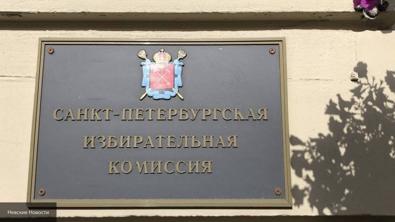 Центризбирком не видит оснований отменять муниципальные выборы в Петербурге