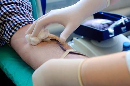 Власти Подмосковья отметили увеличение числа доноров крови