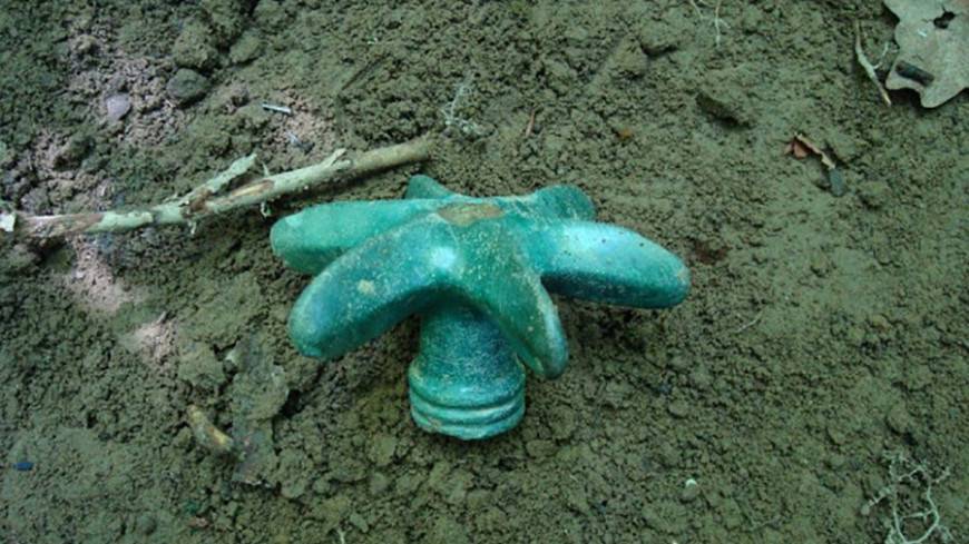 В Польше найден металлический пропеллер возрастом три тысячи лет