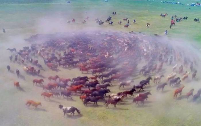 Нереальное видео: дрон заснял сотни лошадей, галопирующих по кругу
