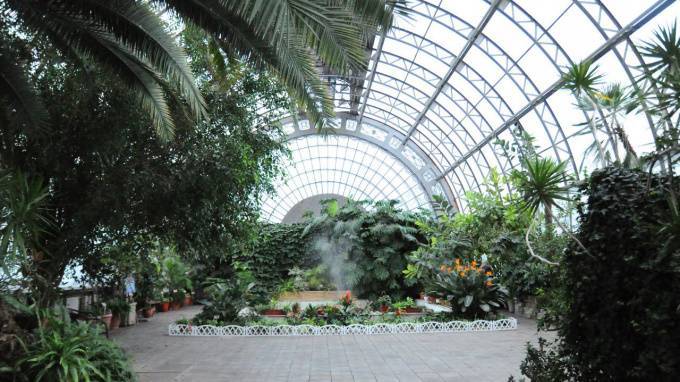 "Тандем-Истейт" подал заявку на реконструкцию теплиц Таврического сада