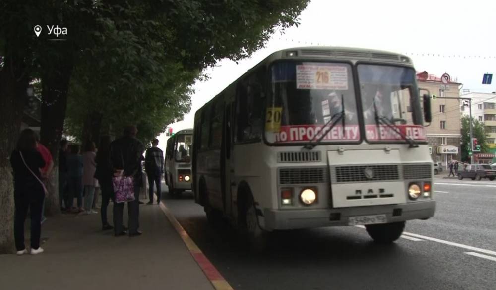 В Уфе водитель автобуса будет бесплатно возить отличников