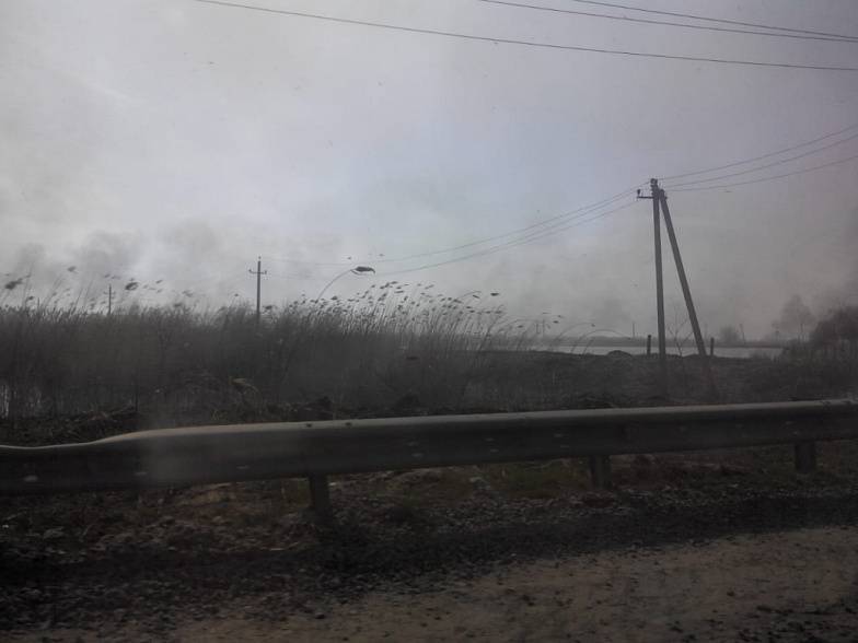 МЧС: в Ростовской области сохраняется чрезвычайная пожароопасность