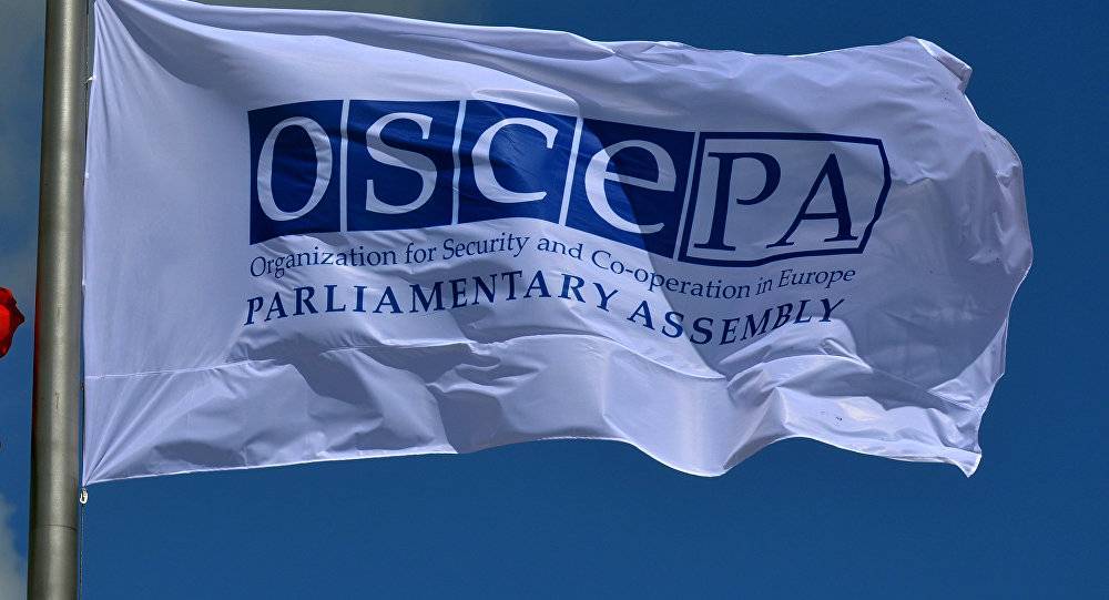 ОБСЕ требует освобождения украинских моряков-провокаторов | Новороссия