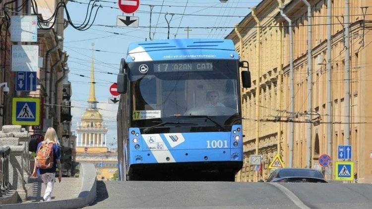Петербургские студенты из многодетных семей получили право на бесплатный проезд