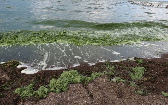 "Холодный слой" Севана поврежден: Минэкологии ищет научный способ спасти озеро